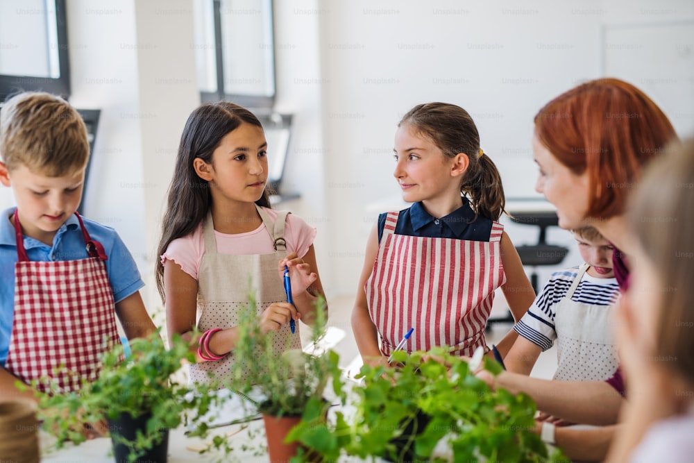 Un gruppo di piccoli bambini felici della scuola con l'insegnante in piedi in cerchio in classe, piantando erbe.