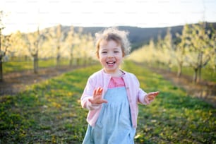Vista frontal de una niña pequeña corriendo al aire libre en un huerto en primavera.