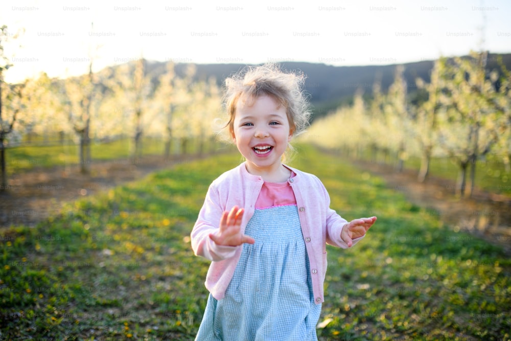 春の果樹園で屋外を走る小さな幼児の女の子の正面図。