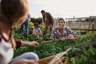 Agricultores o jardineros jóvenes y viejos felices trabajando al aire libre en una granja comunitaria.