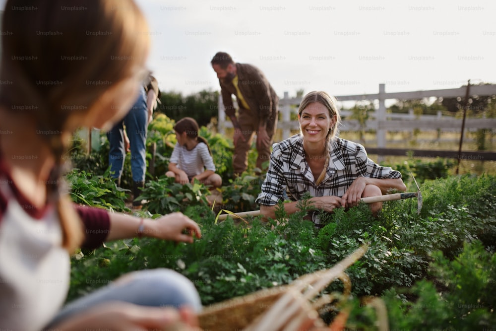 Glückliche Jung- und Altbauern oder Gärtner, die draußen auf einem Gemeinschaftsbauernhof arbeiten.