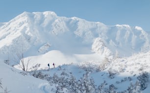Vue de face d’un couple de skieurs de randonnée en randonnée dans une montagne des Basses Tatras en Slovaquie.
