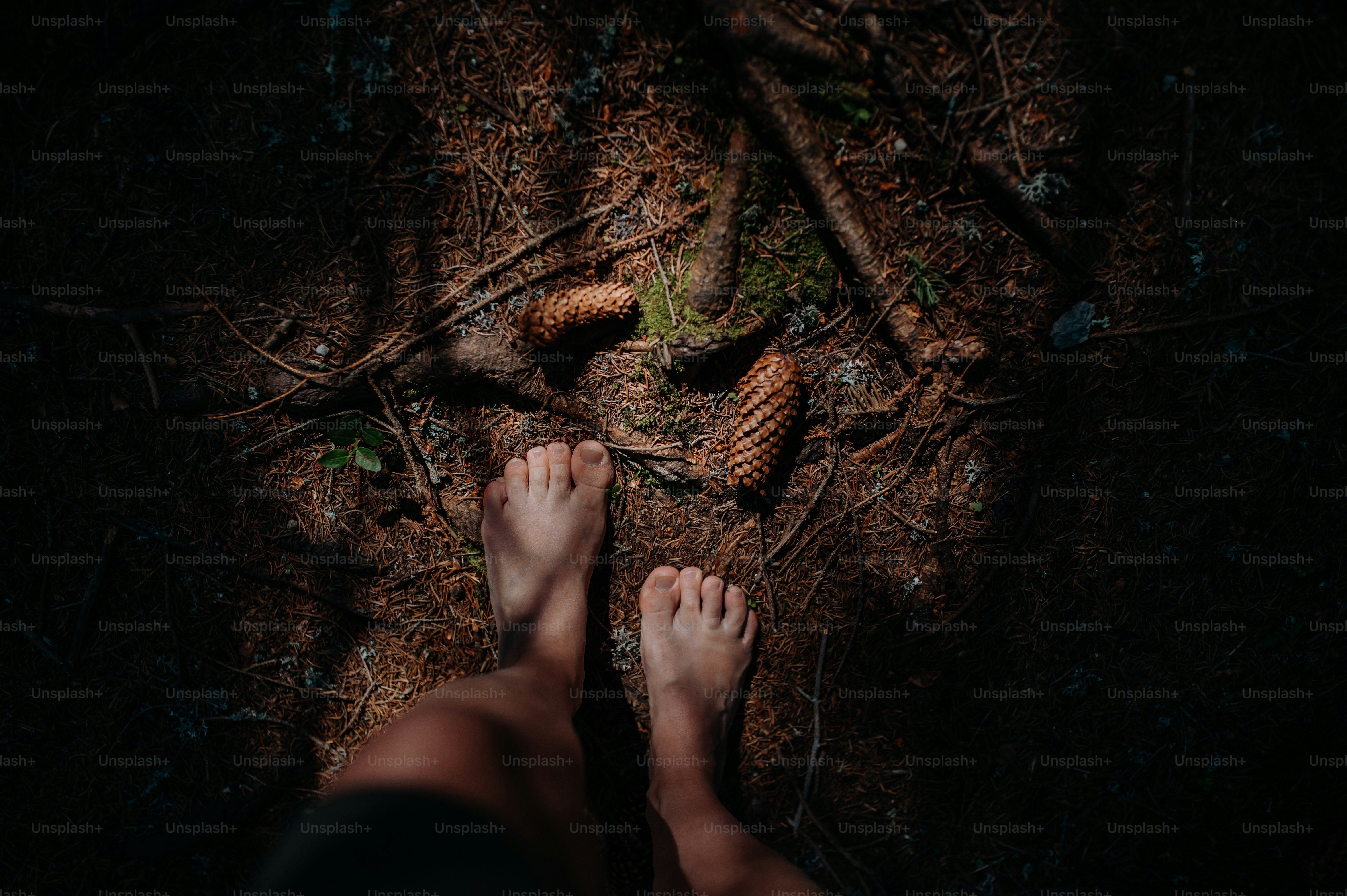 Bare feet of a woman standing barefoot outdoors in nature, grounding concept.