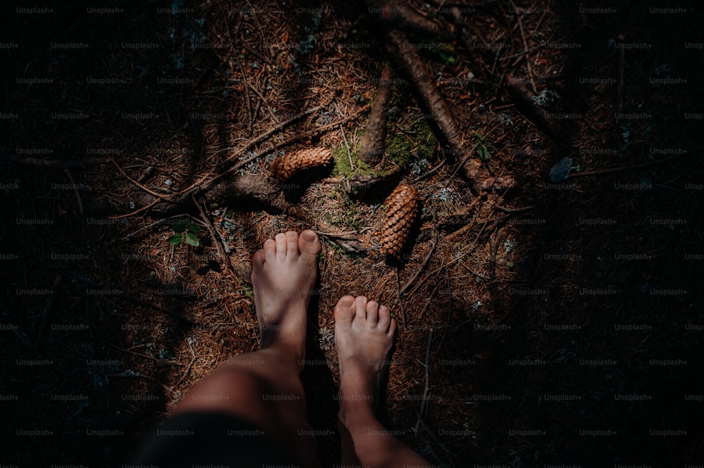 自然の中で裸足で屋外に立つ女性の裸足、グラウンディングコンセプト。