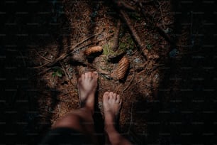 Pieds nus d’une femme debout pieds nus à l’extérieur dans la nature, concept d’ancrage.