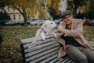 Un uomo anziano felice seduto su una panchina e che riposa durante una passeggiata con il cane all'aperto in città.