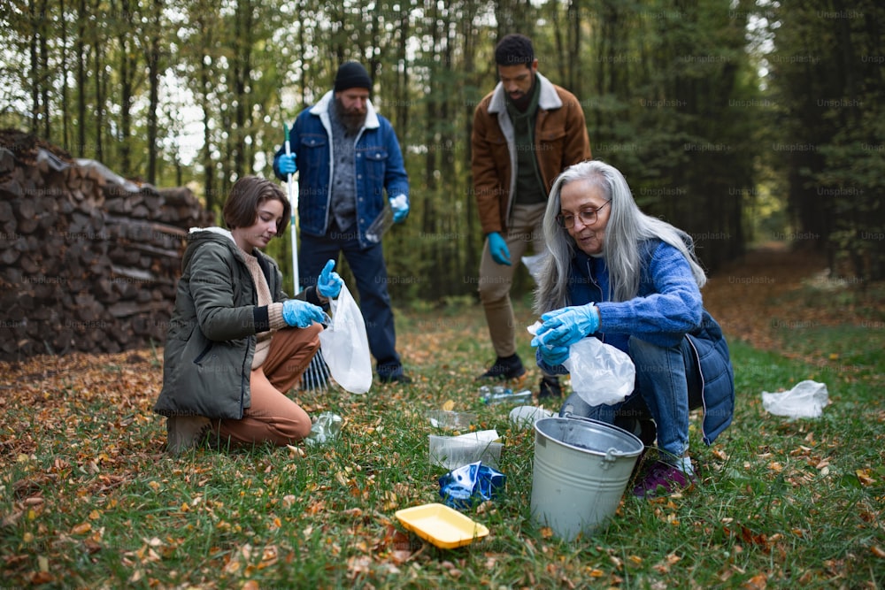 Un grupo de voluntarios limpiando el bosque de desechos, concepto de servicio comunitario