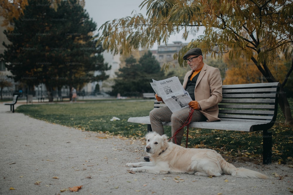 도시의 공원에서 야외에서 개가 산책하는 동안 벤치에 앉아 신문을 읽는 행복한 노인.