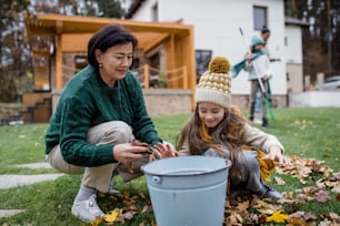 A happy little girl with grandmother picking up leaves and putting them in bucket in garden in autumn