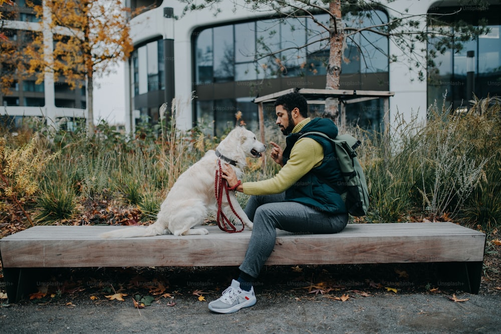 A side view of young man sitting on bench and training his dog outdoors in town.