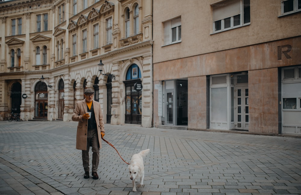 Un homme âgé élégant avec un café à emporter promenant son chien à l’extérieur en ville en hiver.