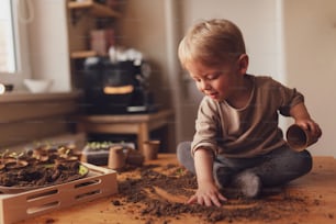 Ein Durcheinander und Dreck auf einem Tisch, während der kleine Junge zu Hause mit Topfsetzlingen spielt.