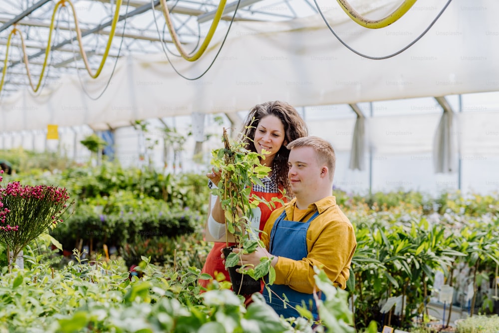 Una florista experimentada ayuda a un joven empleado con síndrome de Down en un centro de jardinería.