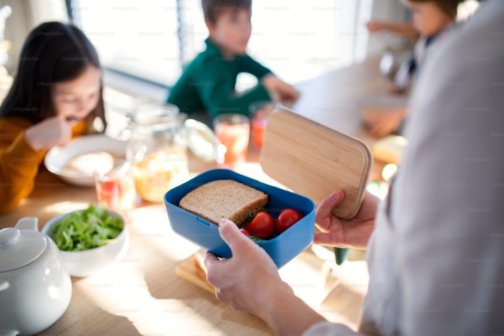 A close-up of mother preparing snack to lunch box in kitchen at home.