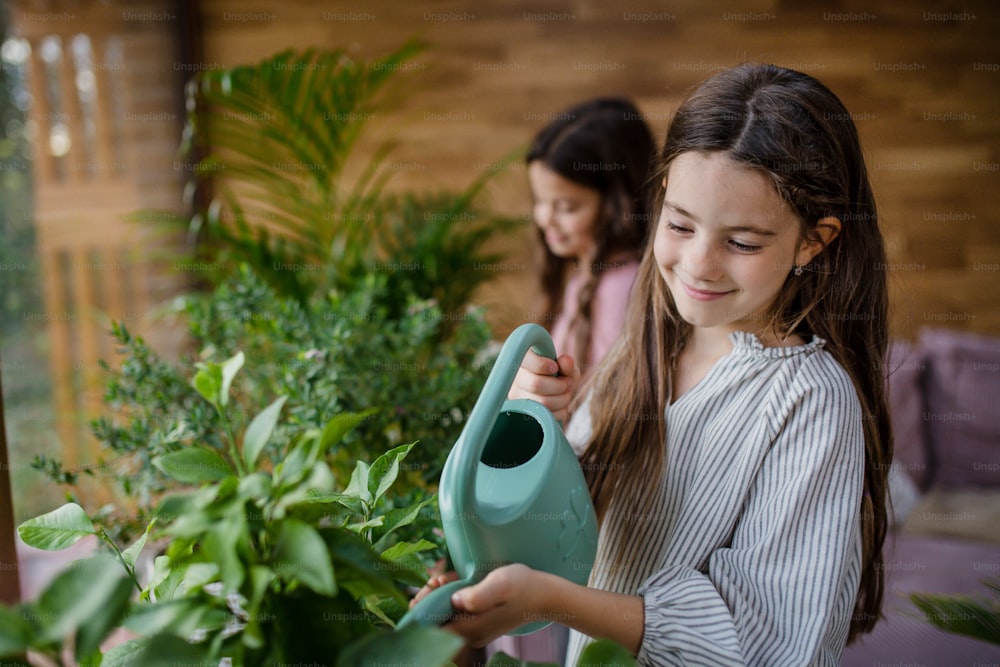 Joyeuses petites sœurs arrosant des plantes à l’intérieur dans une véranda.