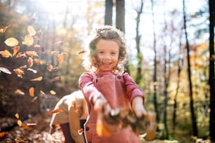 Small girl with unrecognizable mother on a walk in autumn forest, throwing leaves.