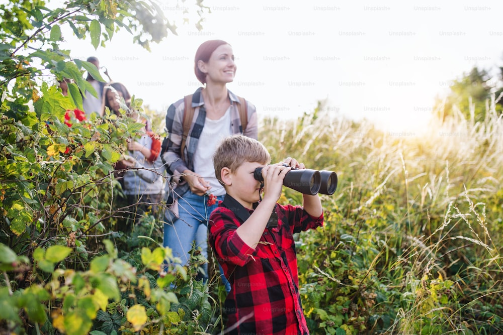 Um grupo de crianças em idade escolar com professor em viagem de campo na natureza, usando binóculos.