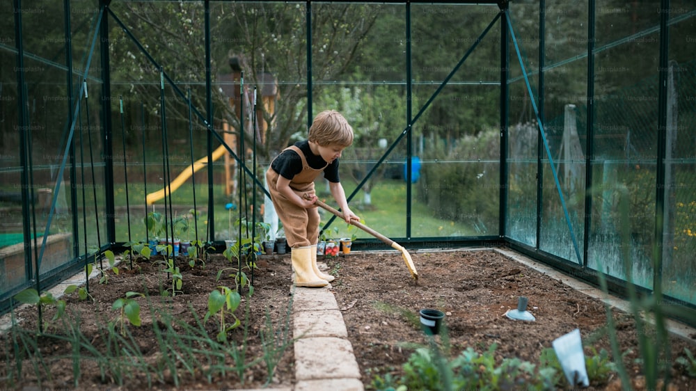 Ein kleiner Junge, der sich um Gewächshaus und Pflanzen kümmert, Erde gräbt und Gartenarbeit lernt.