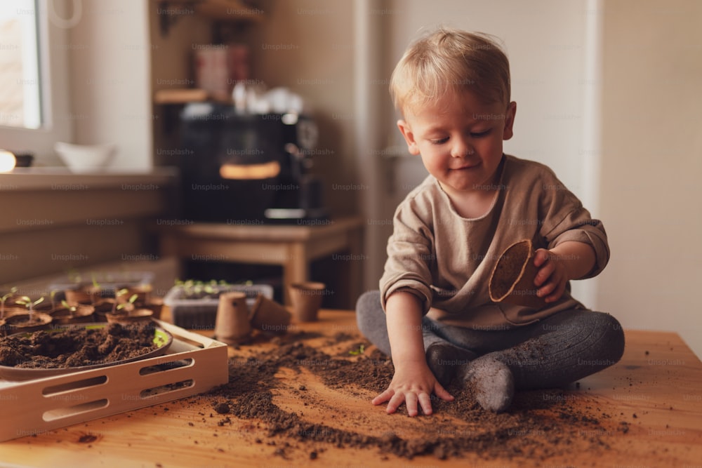 A mess and dirt on a table while little boy is playing with potted seedlings at home.