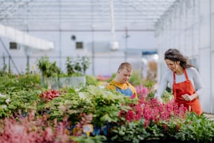 An experienced woman florist helping young employee with Down syndrome in garden centre.