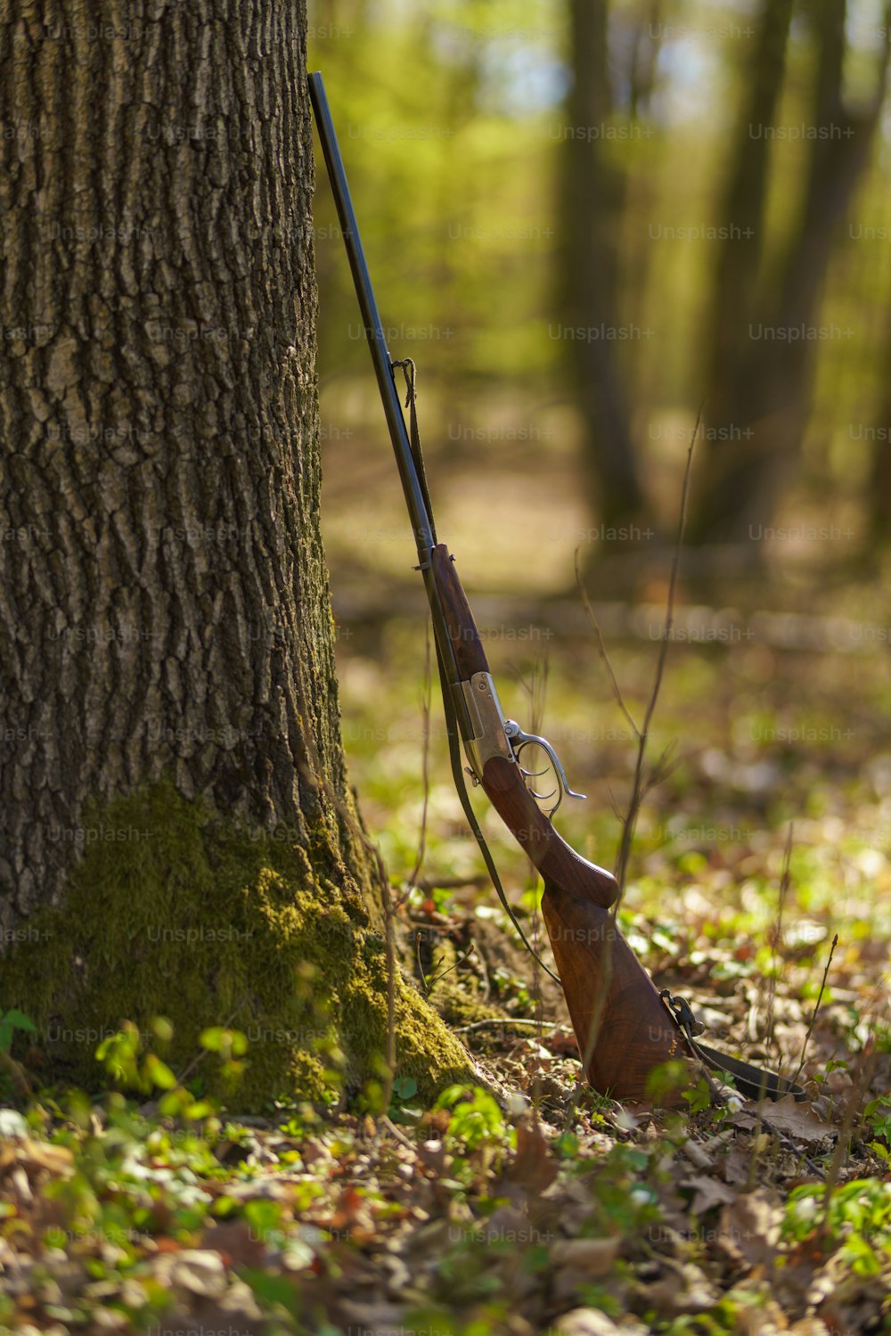 A hunter's rifle gun near tree in forest.