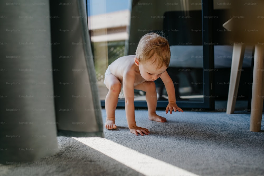 A cute toddler girl crawling takes first step, trying to stand up at home.