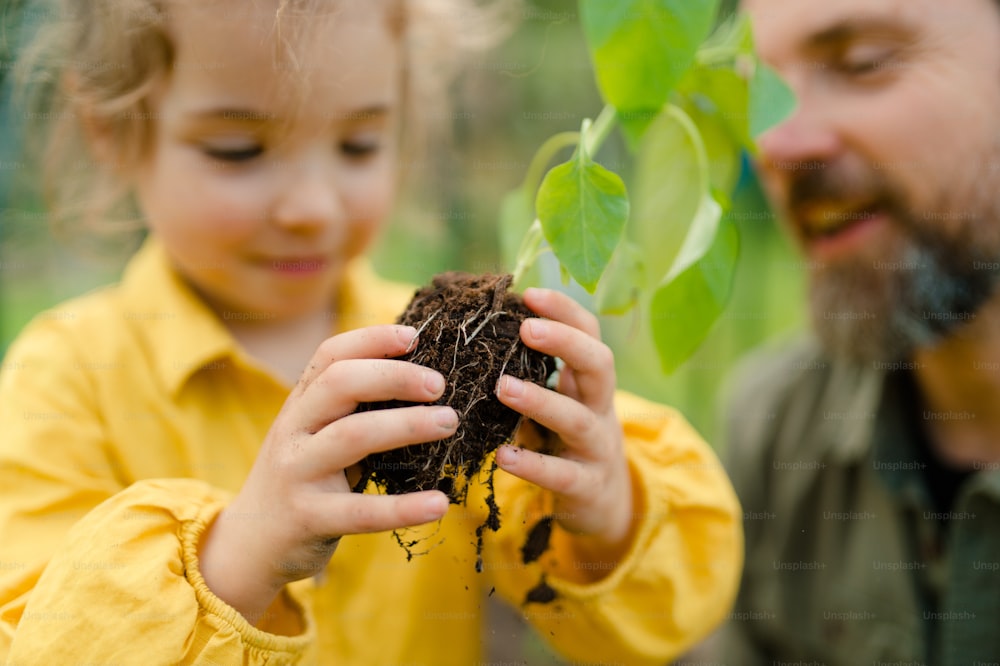 어린 딸에게 생태 온실, 지속 가능한 생활 방식에서 유기농 식물에 관심을 갖는 것을 배우는 아버지.