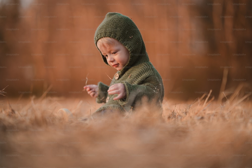 Un retrato otoñal de un niño feliz en suéter de punto sentado y jugando en la hierba seca en la naturaleza.