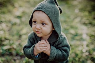 A portrait of cute little boy wearing knitted hoodie in nautre, autumn concept.