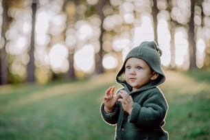 Un portrait d’un mignon petit garçon portant un sweat à capuche tricoté dans nautre, concept d’automne.