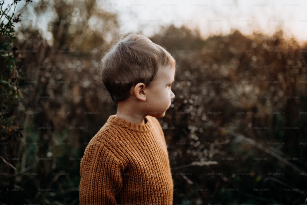 A portrait of cute little boy wearing knitted sweater in nautre, autumn concept.