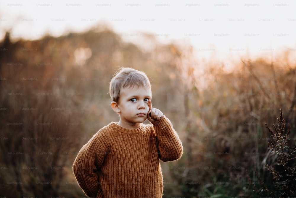 A portrait of cute little boy wearing knitted sweater in nautre, autumn concept.