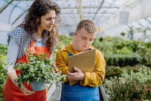 Eine erfahrene Floristin hilft jungen Mitarbeitern mit Down-Syndrom, Blumen auf Tabletten im Gartencenter zu überprüfen.