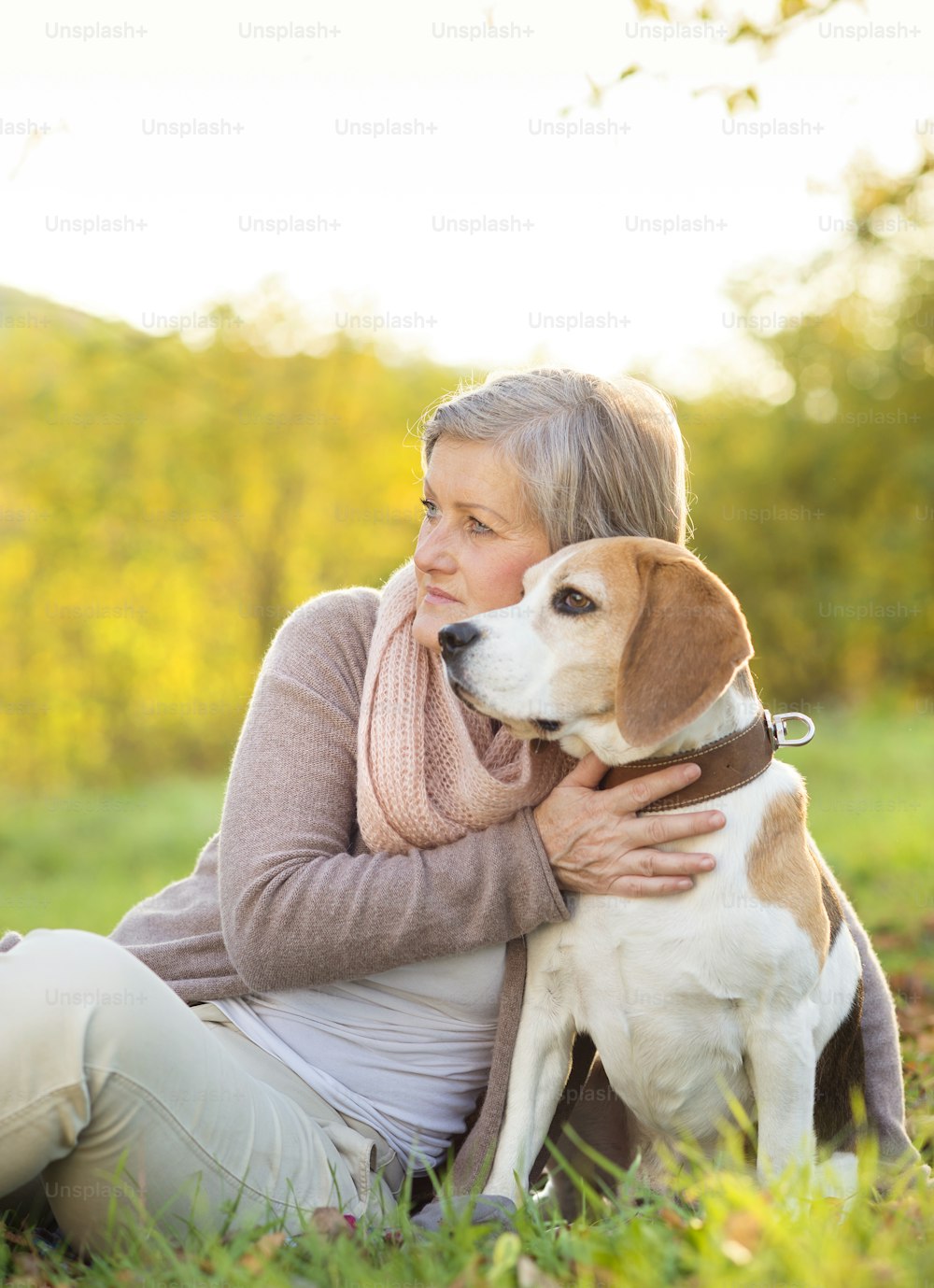 田舎でビーグル犬を抱きしめる年配の女性