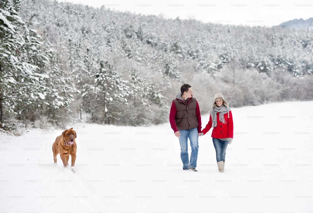 Woman and man are having walk with dog in winter snowy countryside