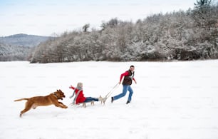 Woman and man are having walk with dog in winter snowy countryside