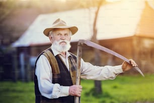 Vieux fermier avec une faux faisant une pause dans la tonte de l’herbe