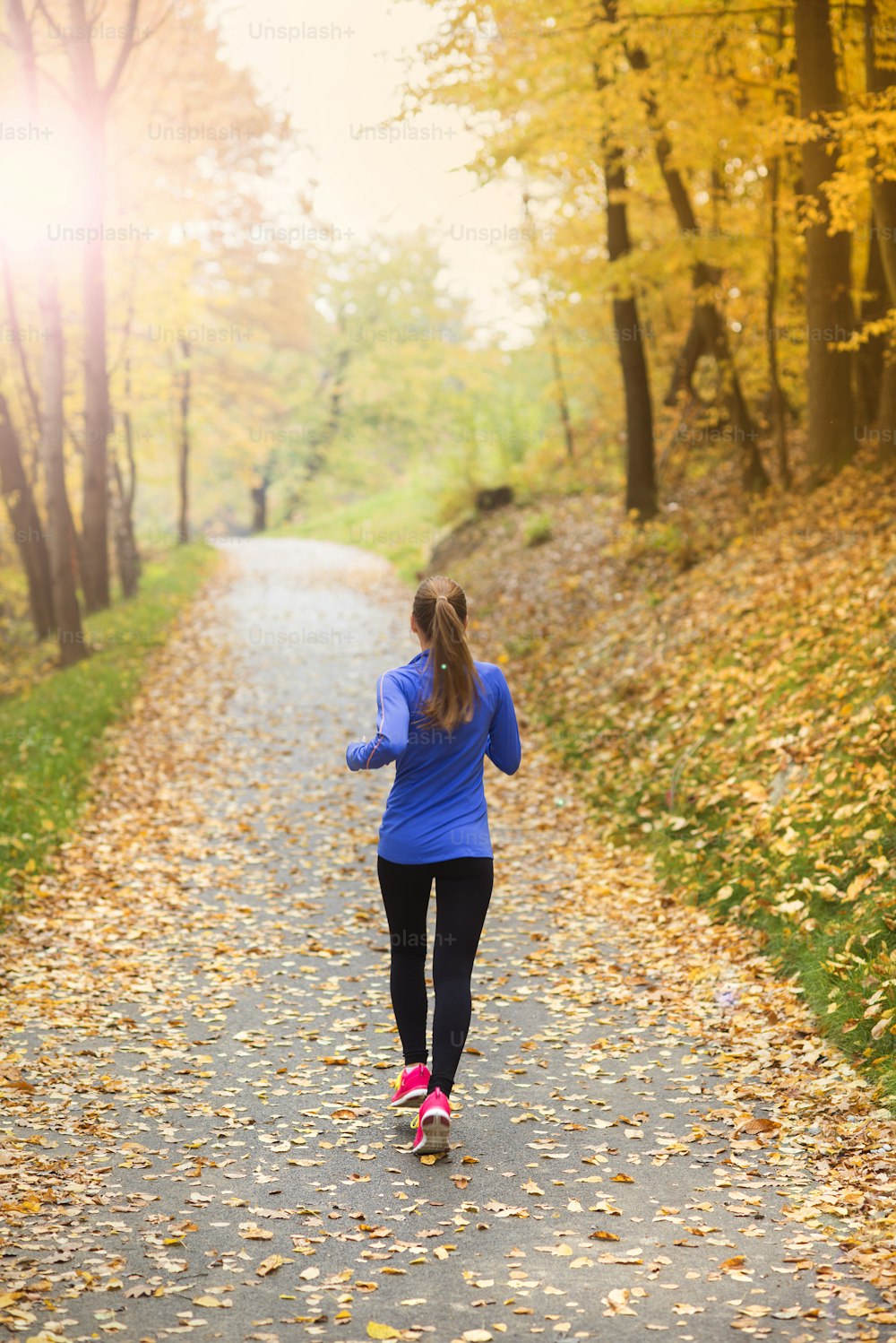 アクティブでスポーティな女性ランナーが色とりどりの秋の自然の中で運動している