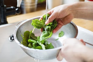Unrecognizable man washing green salad leaves in the kitchen sink