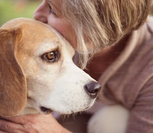 Senior woman hugs her beagle dog in countryside