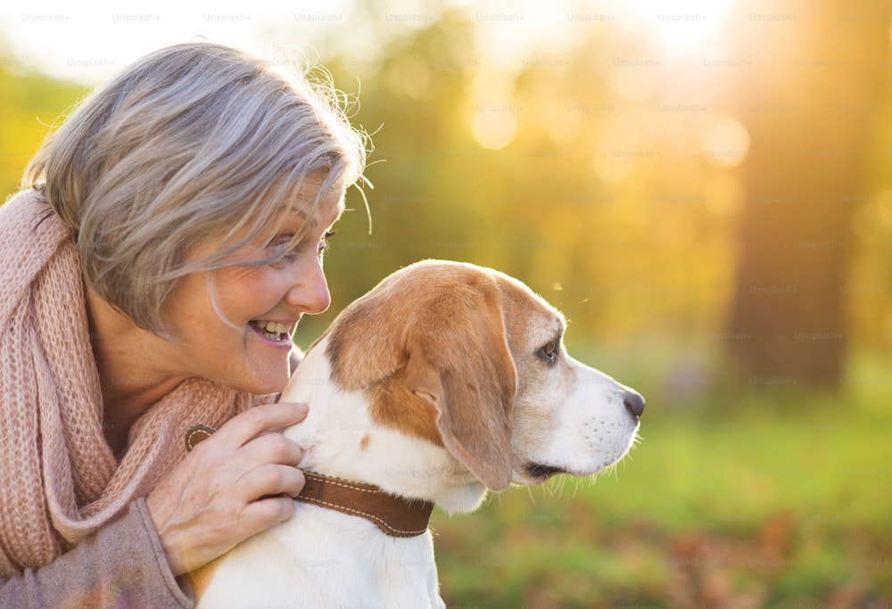 Senior woman hugs her beagle dog in countryside