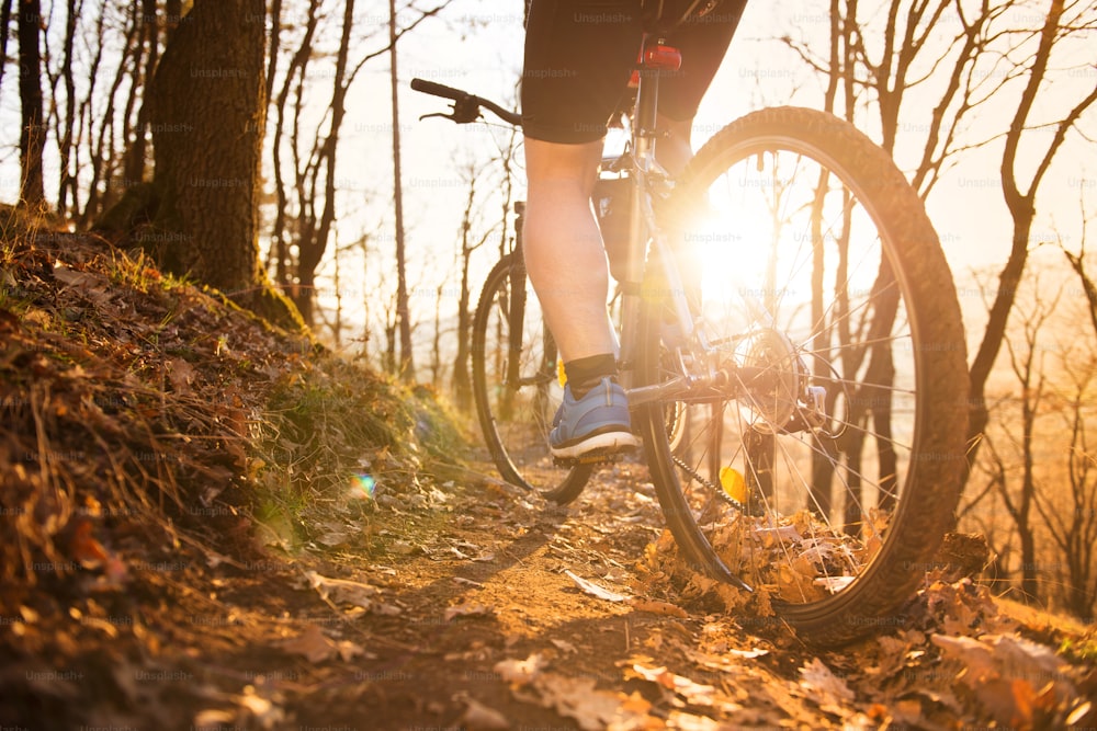 秋の森の屋外トレイルでマウンテンバイクに乗るサイクリストの男性の脚の接写
