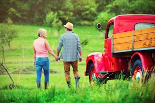 Senior couple walking by a red truck