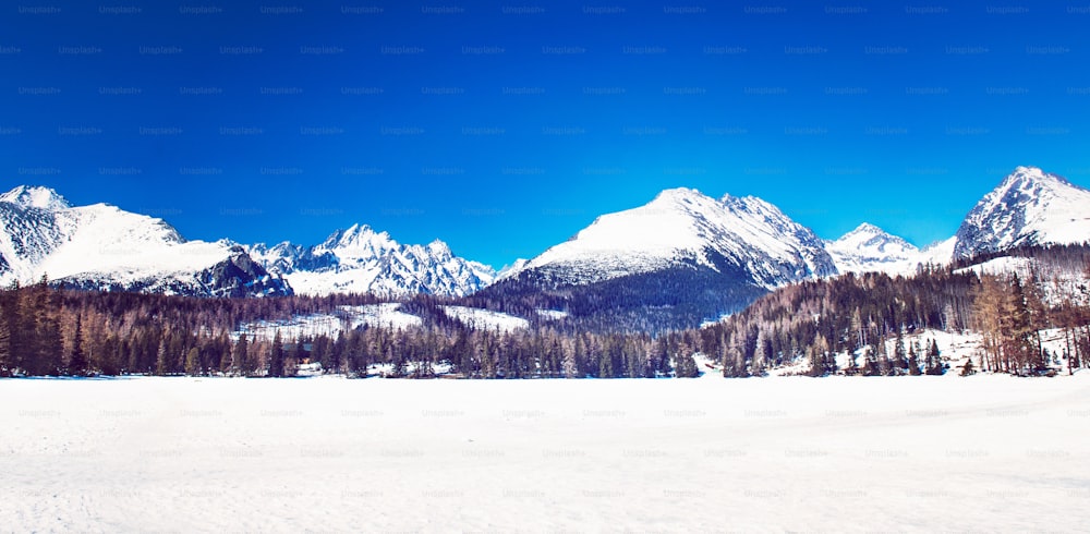 Beautiful winter mountain landscape with sun. High Tatras, Slovakia.