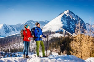 Giovane coppia che fa escursioni all'aperto nelle montagne soleggiate di inverno