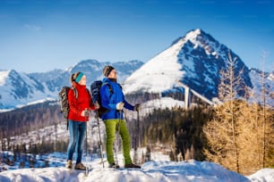 Pareja joven que camina al aire libre en las soleadas montañas de invierno