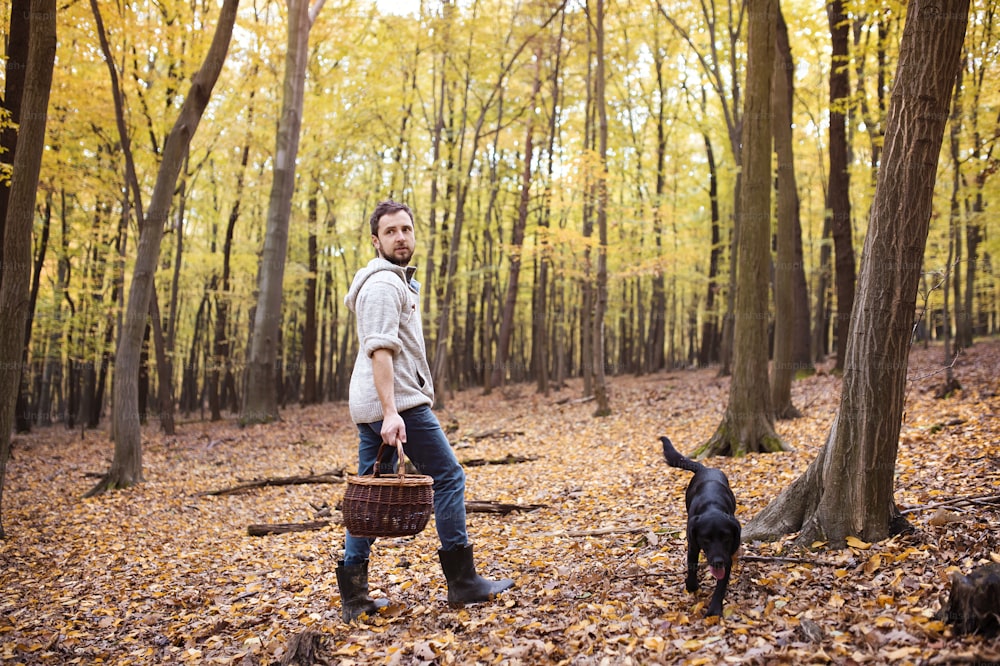 秋の森でキノコ狩りをする青年