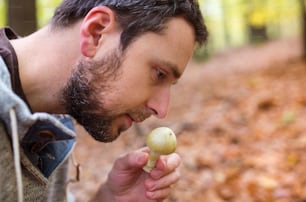Junger Mann sammelt Pilze im Herbstwald