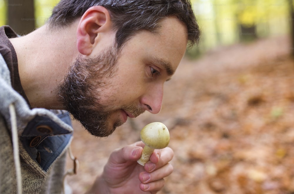 Young man picking mushrooms in autumn forest