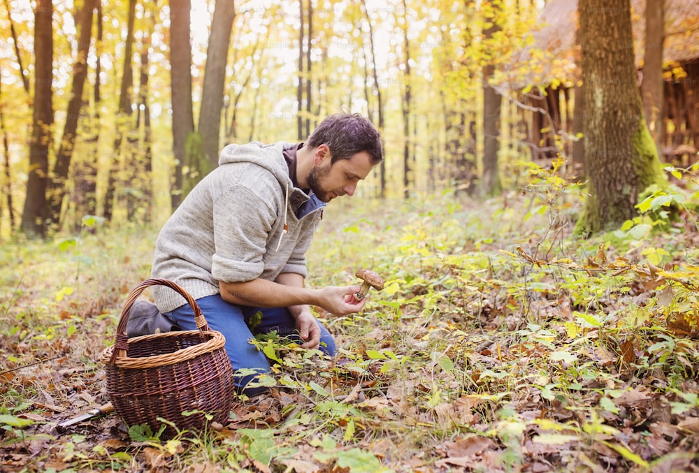 Jeune homme cueillant des champignons dans la forêt d’automne